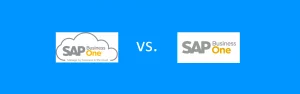 SAP on Cloud or on Premises