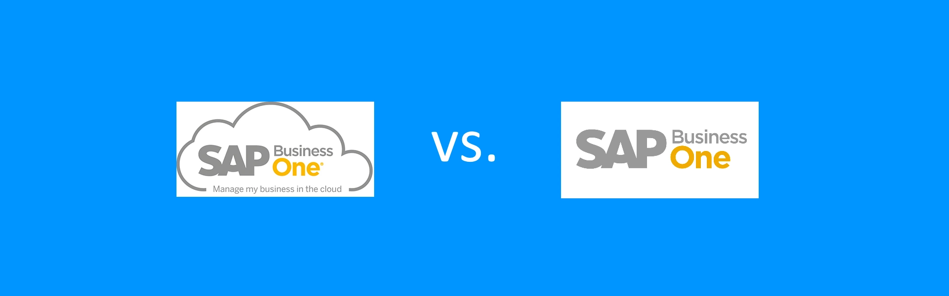 SAP on Cloud or on Premises